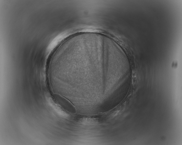 X0000111350296200907241205