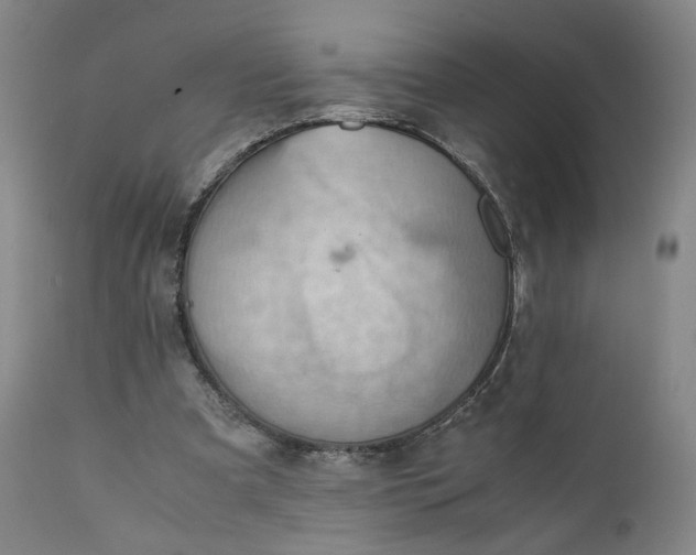 X0000111350297200907241205