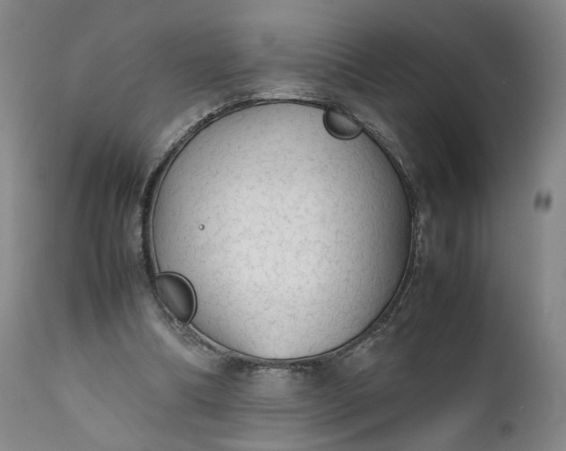 X0000111350298200907241205