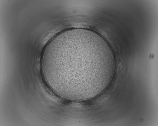 X0000111350299200907241205