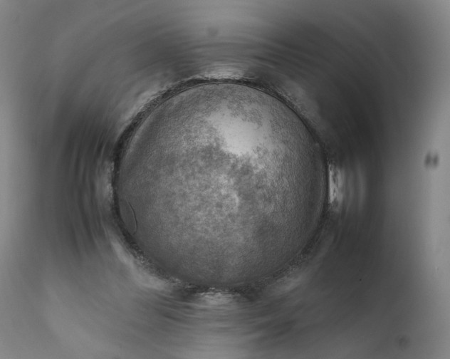 X0000111350300200907241205