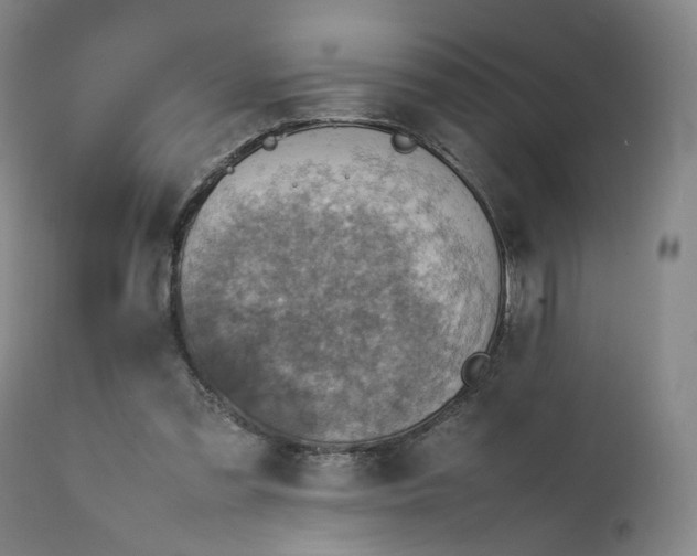 X0000111350301200907241205