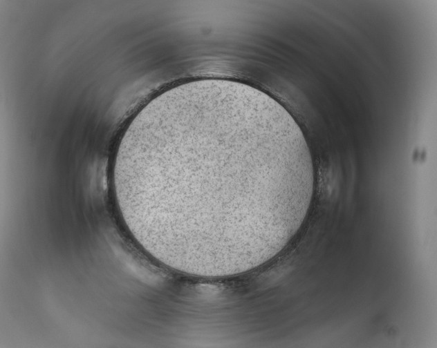 X0000111350302200907241205