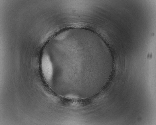 X0000111350303200907241205