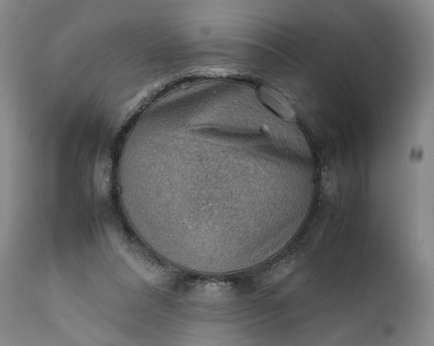 X0000111350304200907241205