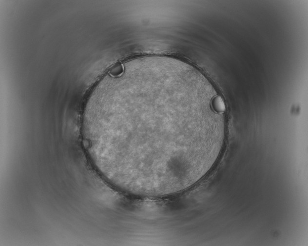 X0000111350305200907241205