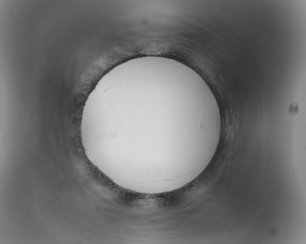 X0000111350307200907241205