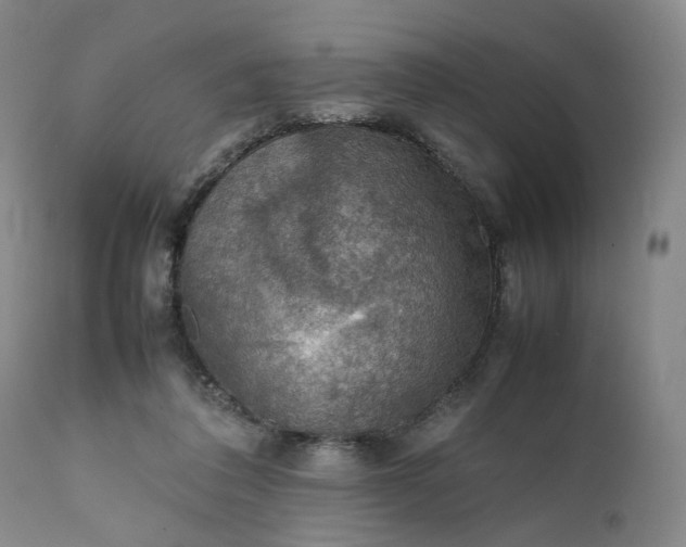 X0000111350308200907241205