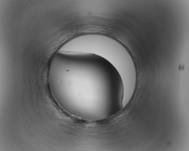 X0000111350309200907241205