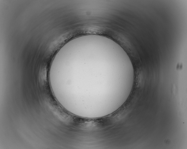 X0000111350310200907241204