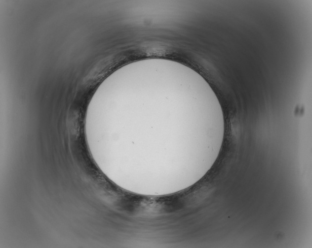 X0000111350311200907241204