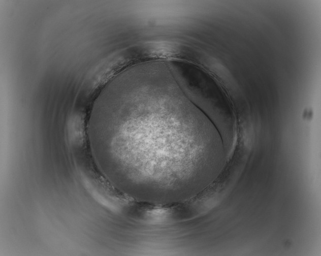 X0000111350312200907241204