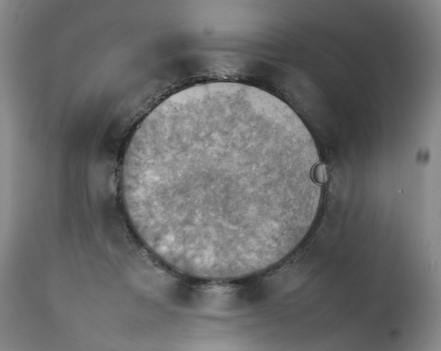 X0000111350313200907241204