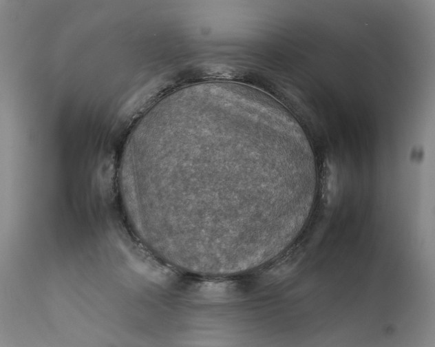 X0000111350314200907241204