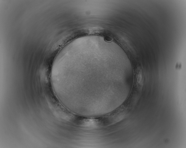 X0000111350316200907241204