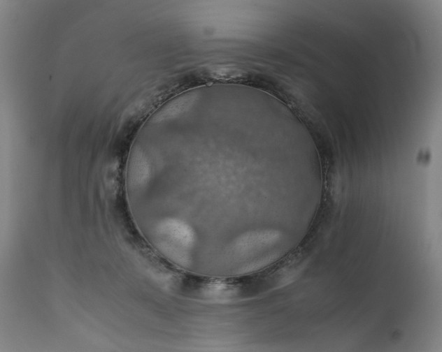 X0000111350319200907241204