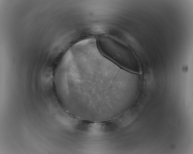 X0000111350320200907241204