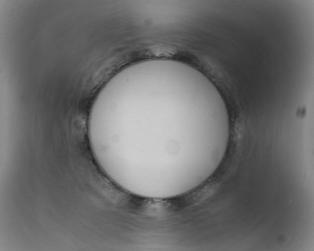 X0000111350321200907241204