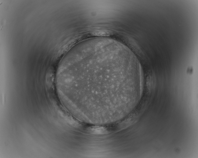 X0000111350322200907241204