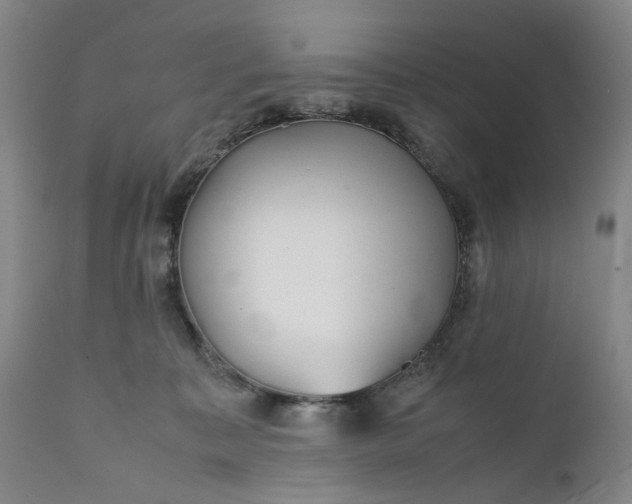 X0000111350323200907241204