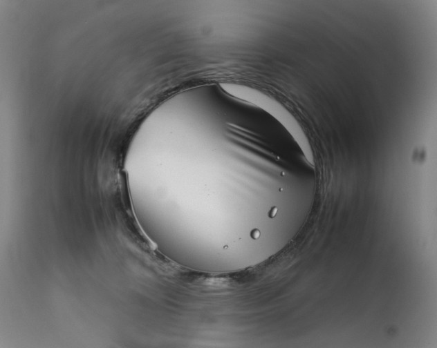 X0000111350324200907241204