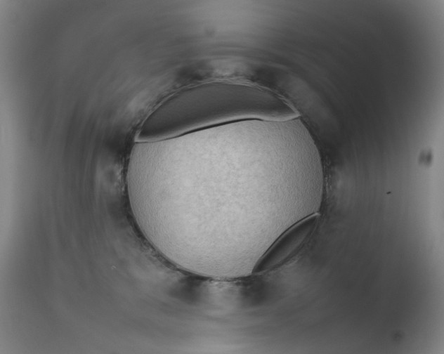 X0000111350327200907241204