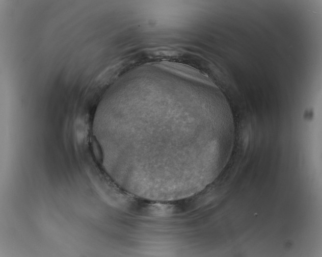 X0000111350328200907241204