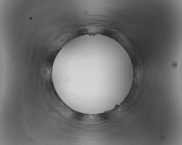 X0000111350329200907241204