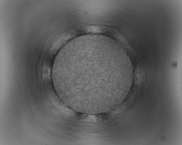 X0000111350330200907241204