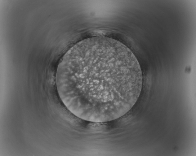 X0000111350331200907241204