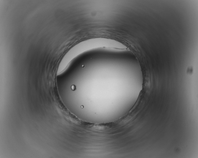 X0000111350332200907241204