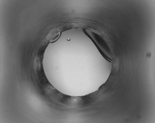 X0000111350333200907241204