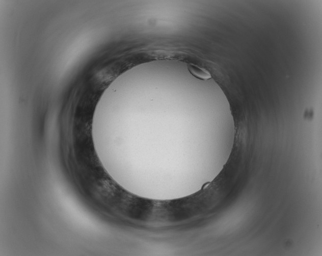 X0000111350335200907241204