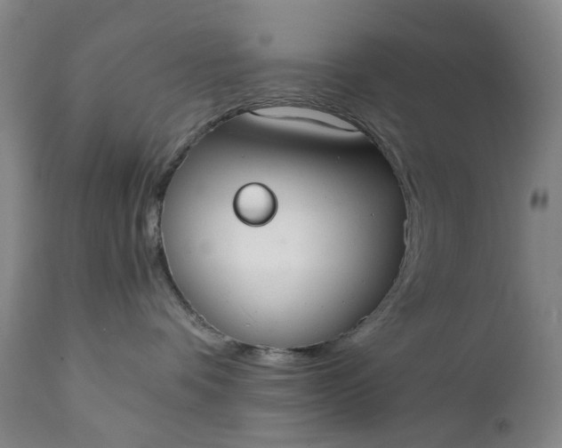 X0000111350336200907241204