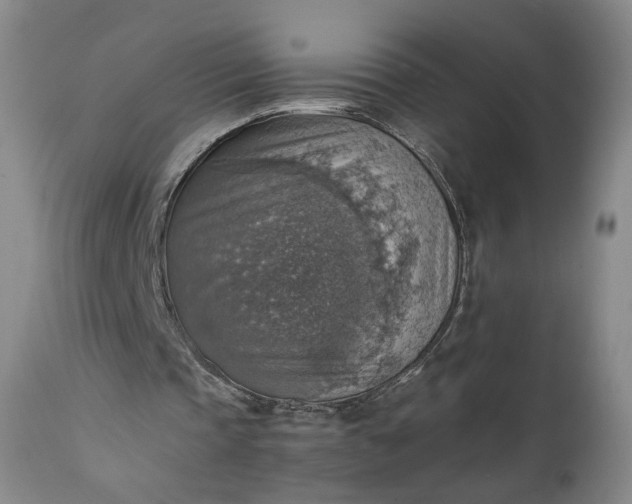 X0000111350337200907241203