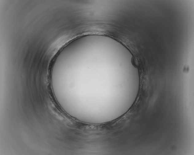 X0000111350338200907241203