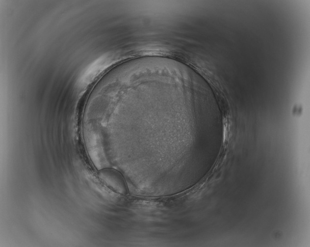 X0000111350339200907241203