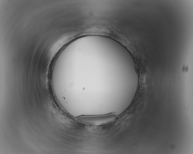 X0000111350340200907241203