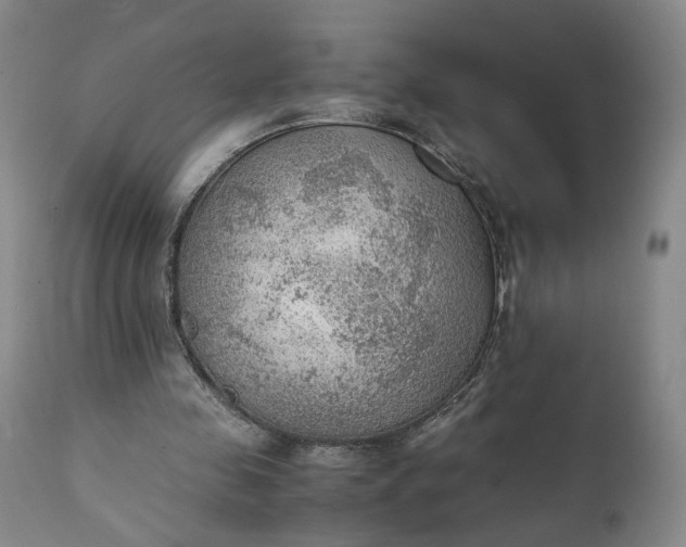 X0000111350341200907241203