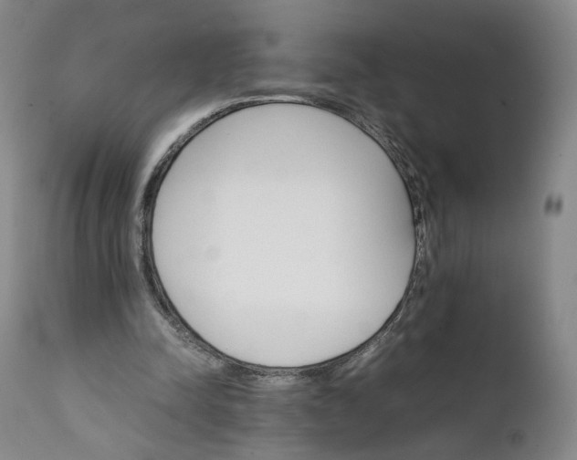 X0000111350342200907241203