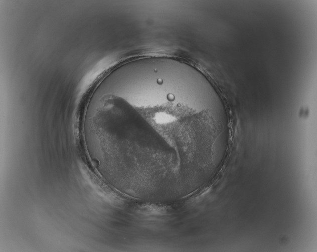 X0000111350343200907241203