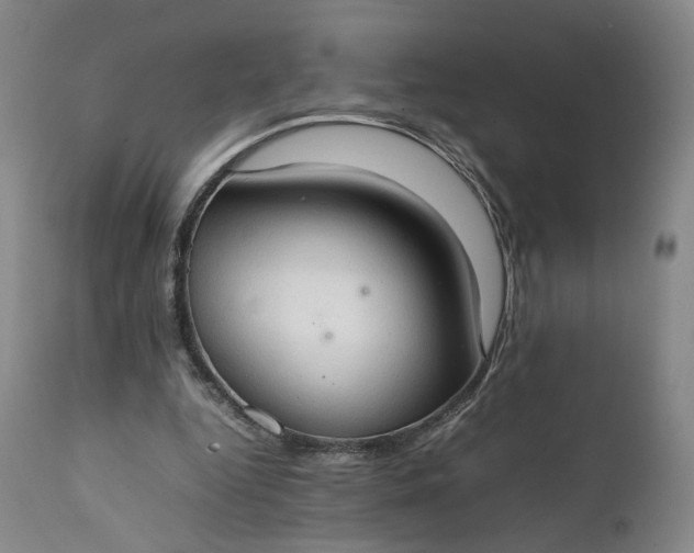 X0000111350344200907241203