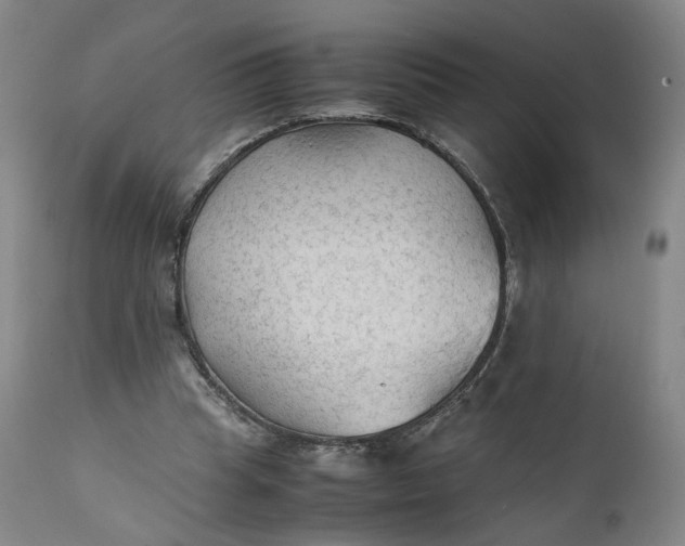 X0000111350345200907241203