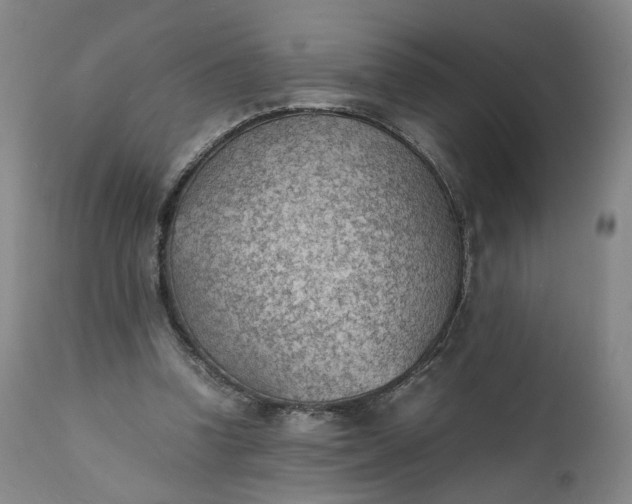 X0000111350346200907241203