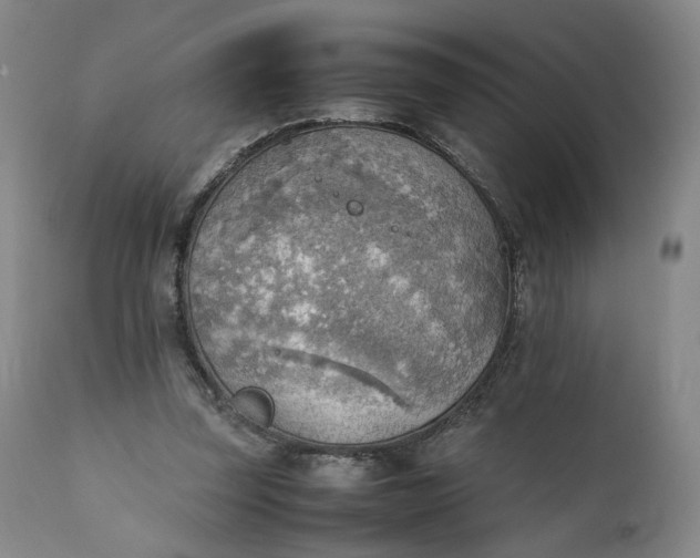 X0000111350347200907241203