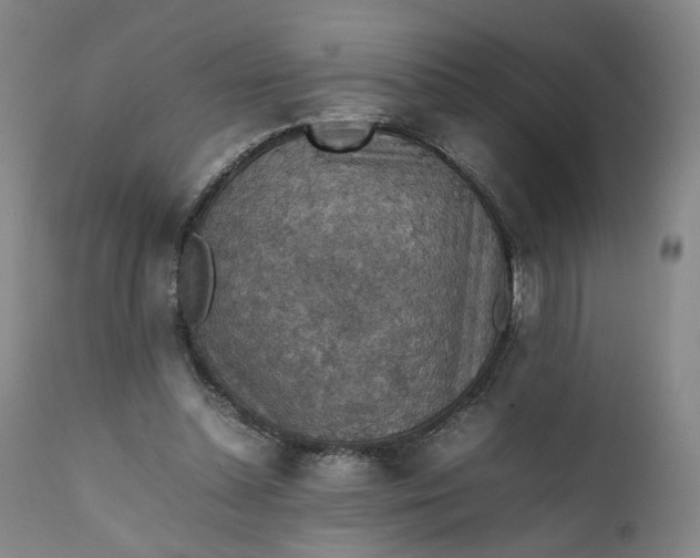 X0000111350348200907241203