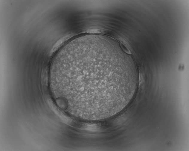 X0000111350349200907241203