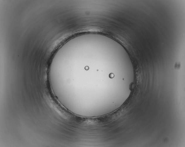 X0000111350350200907241203