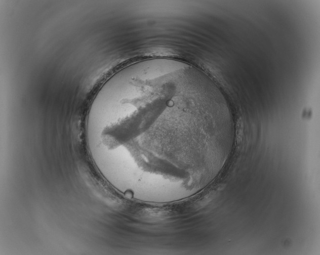 X0000111350351200907241203