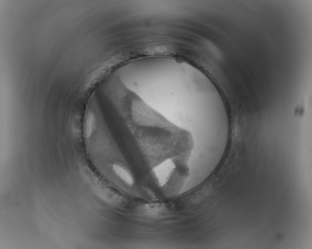 X0000111350353200907241203